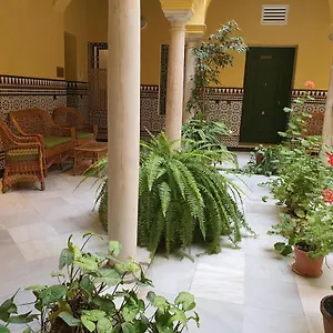  Appartement Centro Historico Solo Office